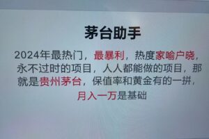 魔法贵州茅台代理，抛开传统玩法，使用科技命中率极高，单瓶利润1000+-麦资源网