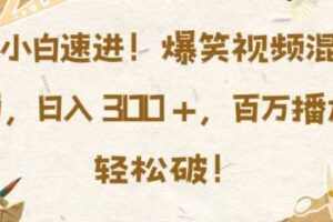 小白速进，爆笑视频混剪，日入3张，百万播放轻松破【揭秘】-麦资源网