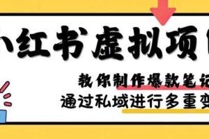 小红书虚拟项目实战，爆款笔记制作，矩阵放大玩法分享-麦资源网