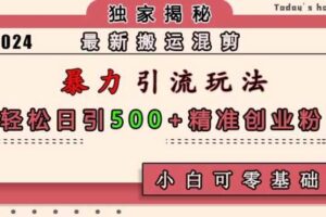 最新搬运混剪暴力引流玩法，轻松日引500+精准创业粉，小白可零基础上手-麦资源网