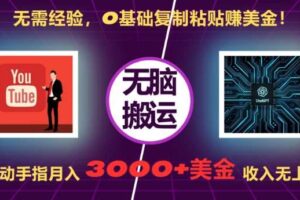 无需经验，0基础复制粘贴赚美刀，动动手指，月入3000+刀，无上限【揭秘】-麦资源网