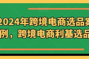 2024年跨境电商选品案例，跨境电商利基选品（更新11月）-麦资源网
