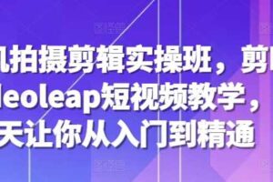 手机拍摄剪辑实操班，剪映videoleap短视频教学，7天让你从入门到精通-麦资源网