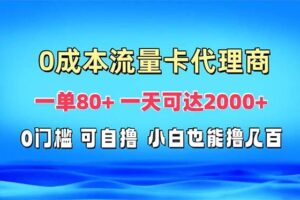 (13391期)免费流量卡代理一单80+ 一天可达2000+-麦资源网