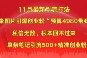 小红书11月最新图片打粉，一张图片引爆创业粉，“预算4980带我飞”，单条引流500+精准创业粉-麦资源网