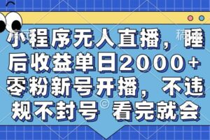 (13251期)小程序无人直播,睡后收益单日2000+ 零粉新号开播,不违规不封号 看完就会-麦资源网