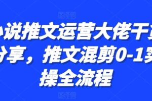小说推文运营大佬干货分享，推文混剪0-1实操全流程-麦资源网