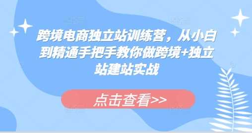 跨境电商*站训练营，从小白到精通手把手教你做跨境+*站建站实战