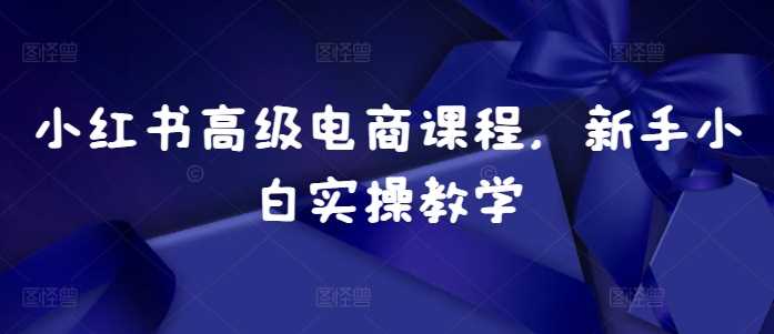 小红书*电商课程，新手小白实操教学