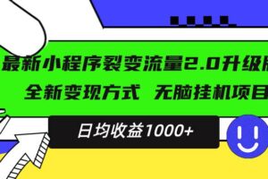 （13462期）最新小程序升级版项目，全新变现方式，小白轻松上手，日均稳定1000+-麦资源网