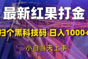 (13459期)最新红果打金,扫个黑科技码,日入1000+,小白当天上手-麦资源网