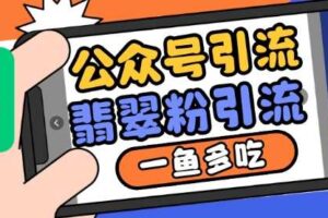 公众号利用推荐流量和搜一搜流量引流翡翠粉，一鱼多吃-麦资源网