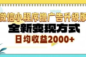 （13186期）微信小程序撸广告升级版，全新变现方式，日均收益2000+-麦资源网