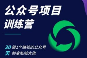 公众号项目训练营，30天做1个赚钱的公众号，秒变私域大佬-麦资源网