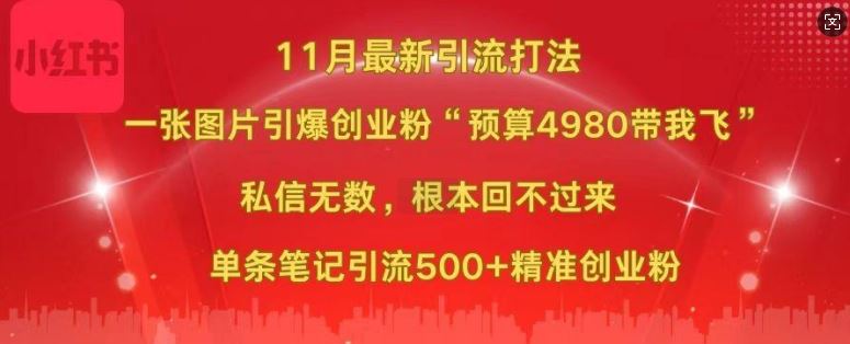 小红书11月*图片打粉，一张图片引爆创业粉，“预算4980带我飞”，单条引流500+*创业粉