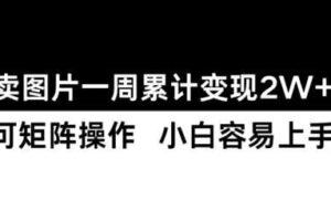 小红书【卖图片】一周累计变现2W+小白易上手-麦资源网