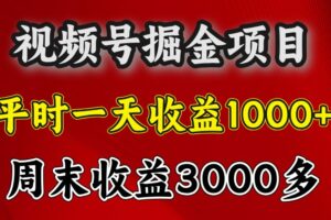 一天收益1000+ 视频号掘金，周末收益会更高些-麦资源网