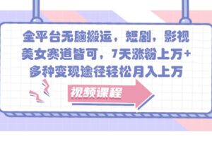 全平台无脑搬运，短剧，影视，美女赛道皆可，7天涨粉上万+，多种变现途径轻松月入上万-麦资源网