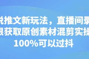 小说推文新玩法，直播间录屏无限获取原创素材混剪实操，100%可以过抖-麦资源网