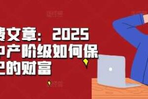 某付费文章：2025年，中产阶级如何保卫自己的财富-麦资源网