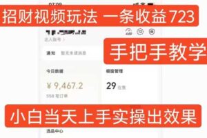 招财视频玩法，一条视频收益723，手把手教学，小白当天可上手-麦资源网