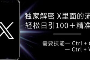 独家解密 X 里面的流量密码，复制粘贴轻松日引100+-麦资源网