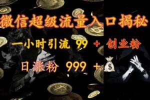 微信超级流量入口揭秘：一小时引流 99 + 创业粉，日涨粉 999 +-麦资源网