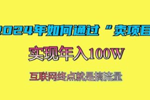 （13419期）2024年如何通过“卖项目”赚取100W：最值得尝试的盈利模式-麦资源网
