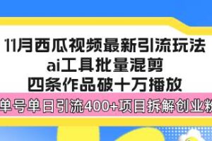 （13245期）西瓜视频最新玩法，全新蓝海赛道，简单好上手，单号单日轻松引流400+创…-麦资源网