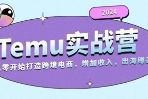 （13266期）2024Temu实战营：从零开始打造跨境电商，增加收入，出海赚美金-麦资源网
