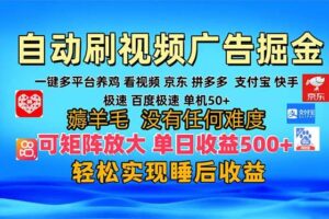 （13223期）多平台 自动看视频 广告掘金，当天变现，收益300+，可矩阵放大操作-麦资源网