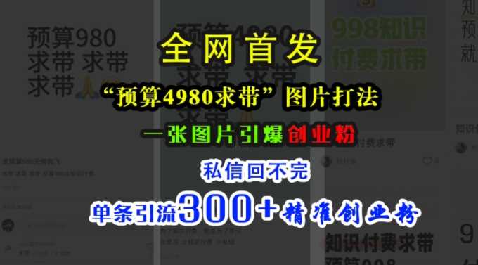 小红书“预算4980带我飞”图片打法，一张图片引爆创业粉，私信回不完，单条引流300+*创业粉