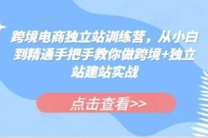 跨境电商独立站训练营，从小白到精通手把手教你做跨境+独立站建站实战-麦资源网