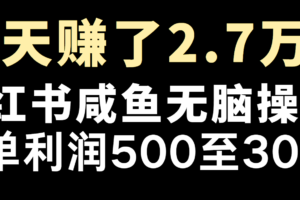 冷门暴利，超级简单的项目0成本玩法，每单在500至4000的利润-麦资源网