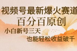 (13225期)视频号最新爆火赛道,中老年粉深信不疑,百分百原创,新号三天收益轻松…-麦资源网