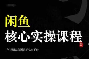 2024闲鱼核心实操课程，从养号、选品、发布、销售，教你做一个出单的闲鱼号-麦资源网