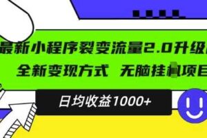 最新小程序升级版项目，全新变现方式，小白轻松上手，日均稳定1k【揭秘】-麦资源网