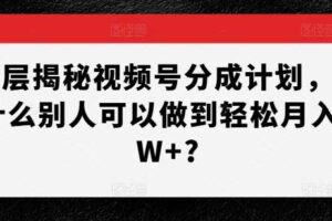 深层揭秘视频号分成计划，为什么别人可以做到轻松月入1W+?-麦资源网