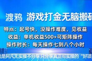 (13501期)韩国知名游戏打金无脑搬砖单机收益500+-麦资源网