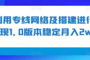 利用专线网络及搭建进行变现1.0版本稳定月入2w+【揭秘】-麦资源网