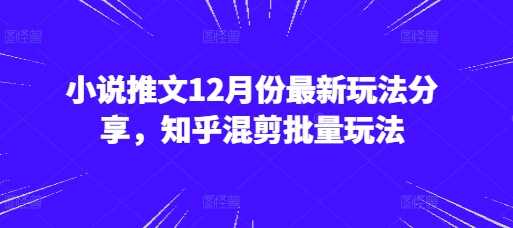 小说推文12月份*玩法分享，知乎混剪批量玩法