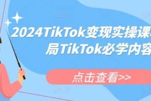 2024TikTok变现实操课程，入局TikTok必学内容-麦资源网