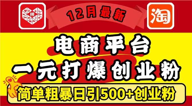 12月*：电商平台1元打爆创业粉，简单粗暴日引500+*创业粉，轻松月入过W【揭秘】