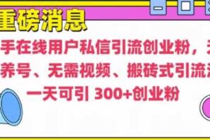 快手最新引流创业粉方法，无需养号、无需视频、搬砖式引流法【揭秘】-麦资源网