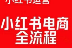 红薯电商实操课，小红书电商全流程-麦资源网