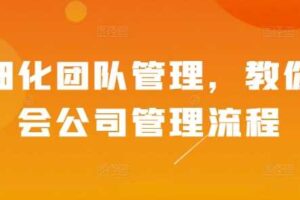 精细化团队管理,教你学会公司管理流程-麦资源网