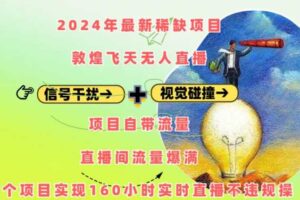 2024年最新稀缺项目敦煌飞天无人直播，项目自带流量，流量爆满，实现160小时实时直播不违规操-麦资源网