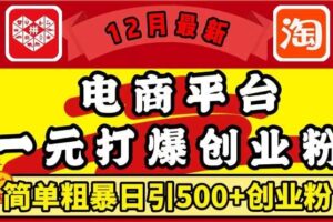 12月最新：电商平台1元打爆创业粉，简单粗暴日引500+精准创业粉，轻松月入过W【揭秘】-麦资源网