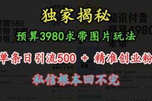预算3980求带 图片玩法，单条日引流500+精准创业粉，私信根本回不完-麦资源网