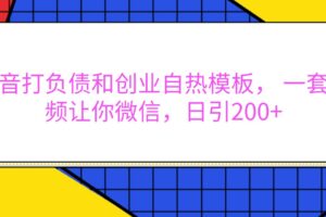 抖音打负债和创业自热模板， 一套视频让你微信，日引200+-麦资源网